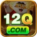 12q Pro Gaming App
